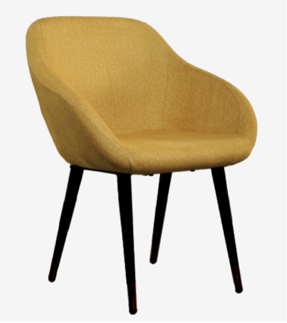 Lounge Chair from Jodhpur, India